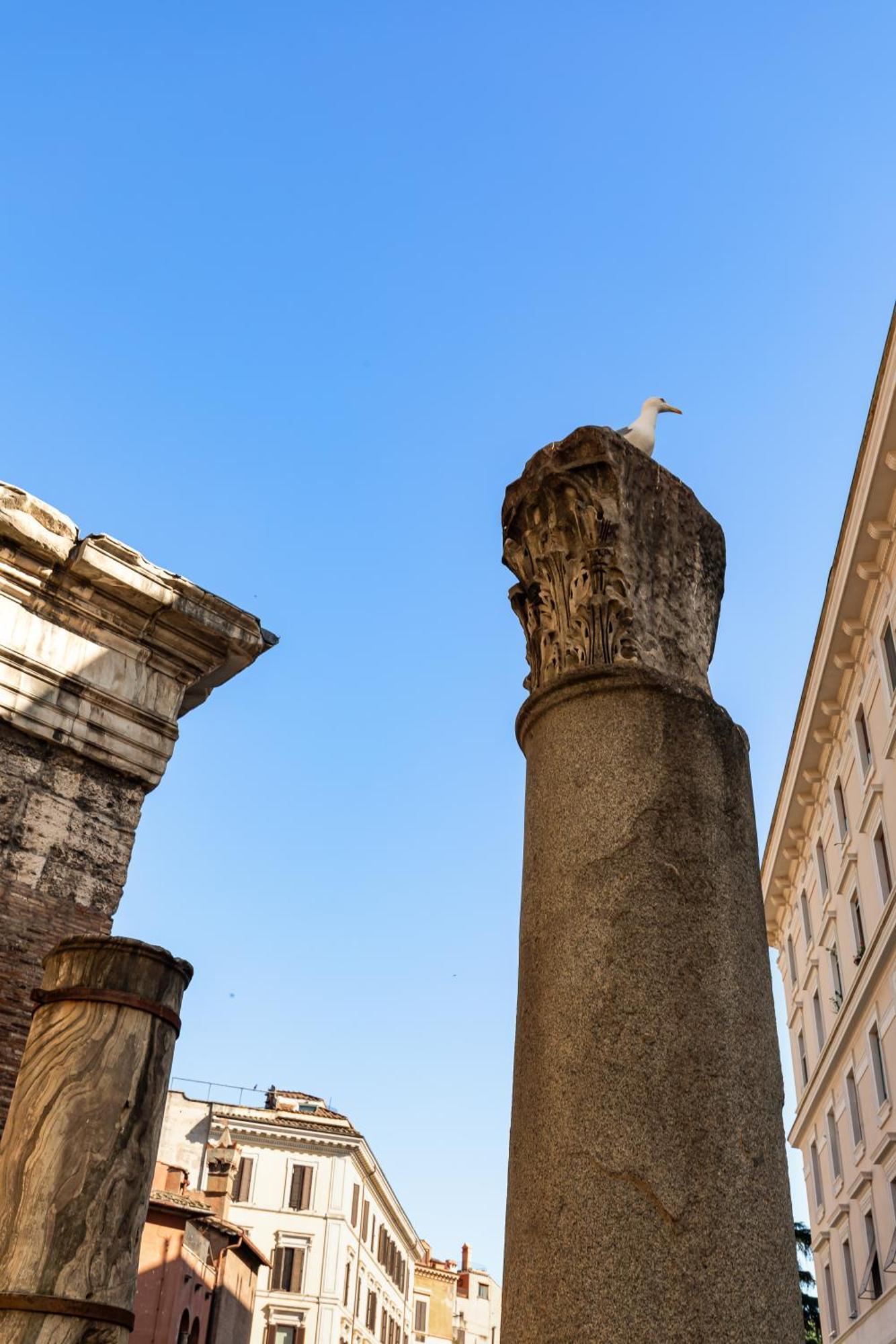 Apartamento Campitelli 9 - Loft In Ancient Roma Exterior foto
